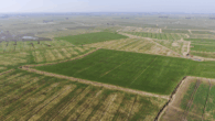 Zukunft sichern mit Land – Ländereien in Dornum-Nesse - Fläche 2