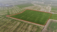 Zukunft sichern mit Land – Ländereien in Dornum-Nesse - Fläche 2