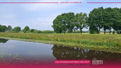 Grünland in der Samtgemeinde Hesel, Ortsteil Neuefehn, 26835 Neukamperfehn, Land-/Forstwirtschaft