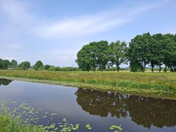 Grünland in der Samtgemeinde Hesel, Ortsteil Neuefehn 26835 Neukamperfehn, Land-/Forstwirschaft